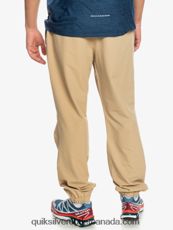 CA Quiksilver Men Sea Bed Cargo Pants tannin TX4R21846