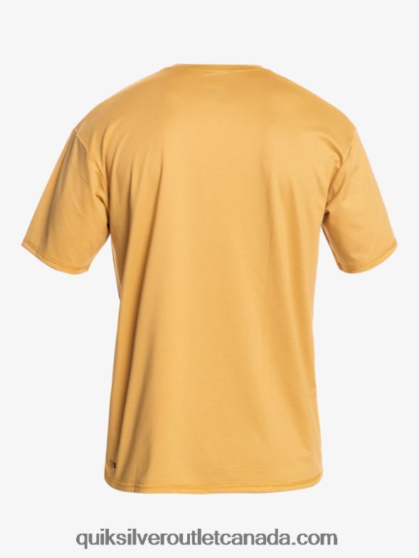 CA Quiksilver Men Heritage Heather Short Sleeve UPF 50 Surf T-Shirt wheat heather TX4R21127