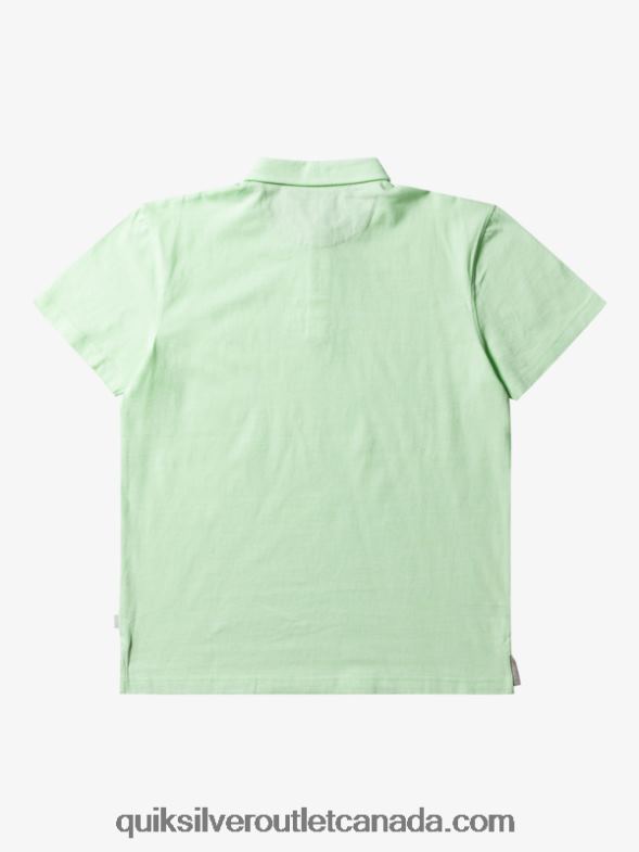 CA Quiksilver Men Sunset Cruise Short Sleeve Polo Shirt paradise green TX4R2479