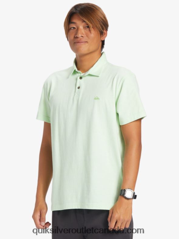 CA Quiksilver Men Sunset Cruise Short Sleeve Polo Shirt paradise green TX4R2479