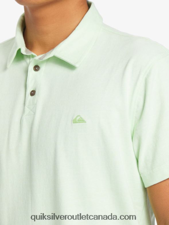CA Quiksilver Men Sunset Cruise Short Sleeve Polo Shirt paradise green TX4R2479