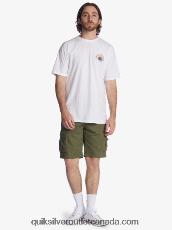 CA Quiksilver Men Crucial Battle 21 Cargo Shorts four leaf clover TX4R21523