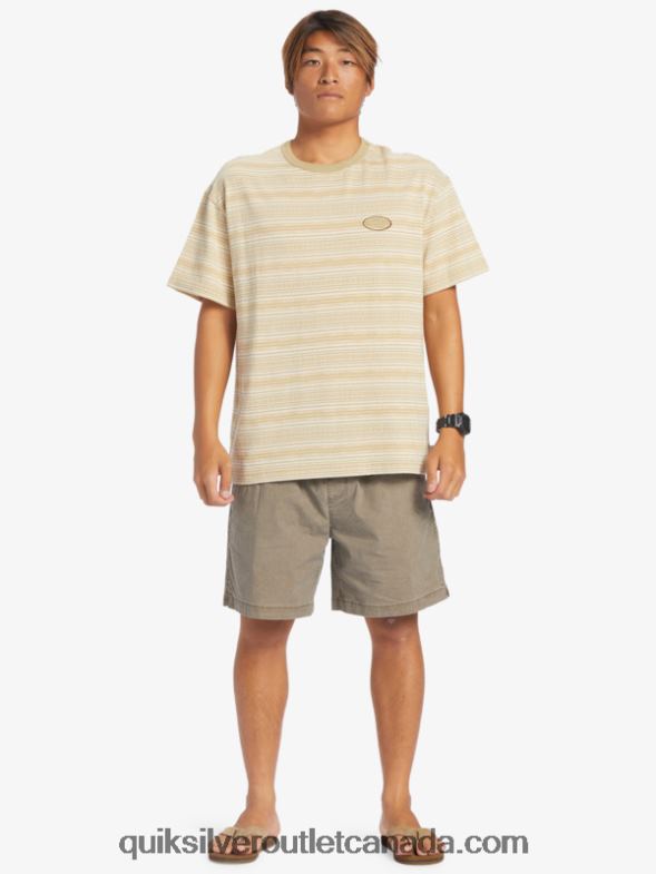 CA Quiksilver Men Taxer Elasticized Shorts chocolate chip TX4R2322
