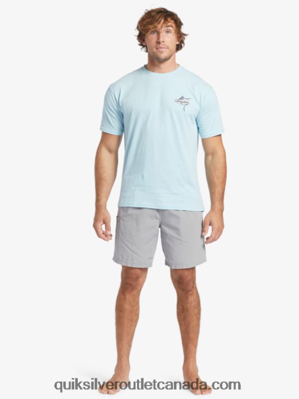 CA Quiksilver Men Waterman Last Light Elasticized 19 Shorts sharkskin TX4R2254