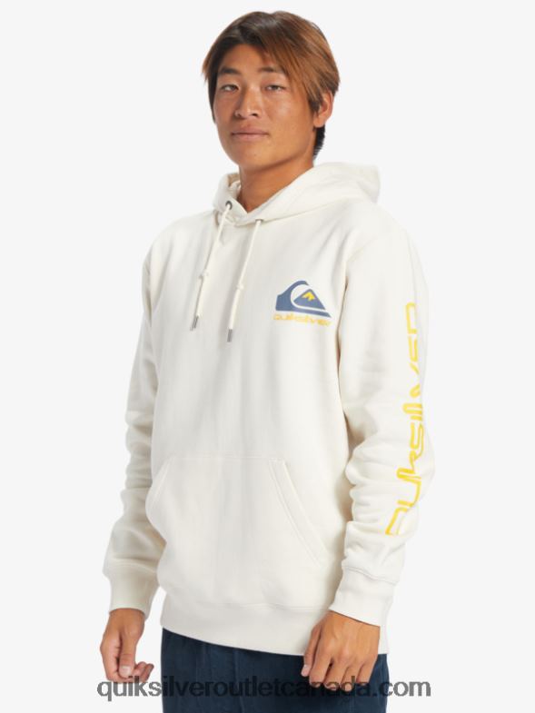 CA Quiksilver Men Omni Logo Hoodie birch TX4R2642