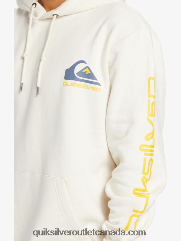 CA Quiksilver Men Omni Logo Hoodie birch TX4R2642