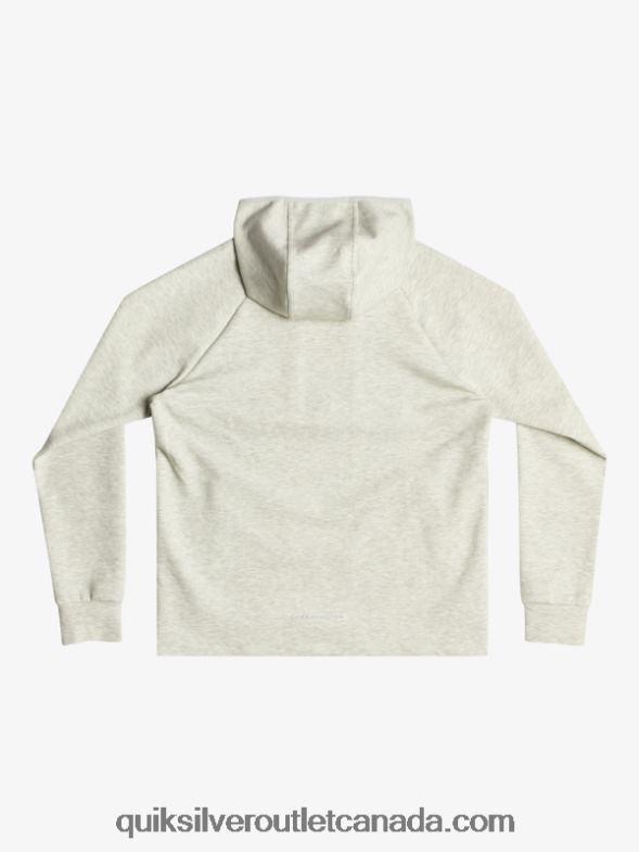 CA Quiksilver Men Step Off Hoodie gray violet heather TX4R21029