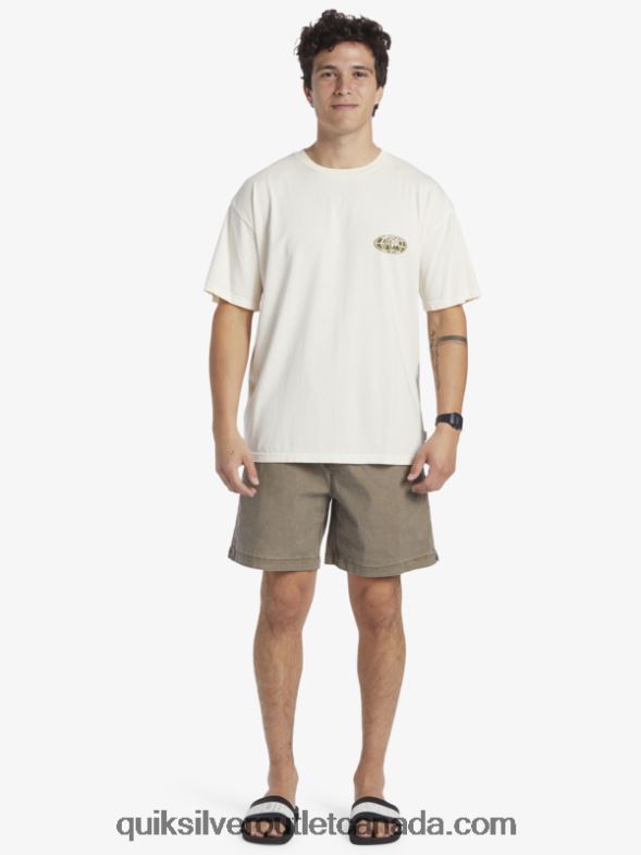 CA Quiksilver Men Clear Mind T-Shirt birch TX4R2741