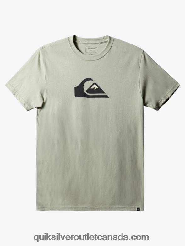 CA Quiksilver Men Comp Logo T-Shirt desert sage TX4R21387