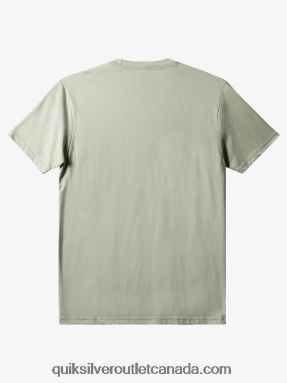CA Quiksilver Men Comp Logo T-Shirt desert sage TX4R21387