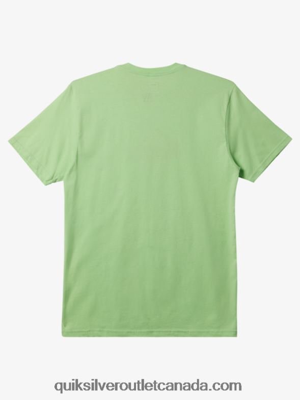 CA Quiksilver Men Comp Logo T-shirt paradise green TX4R2196