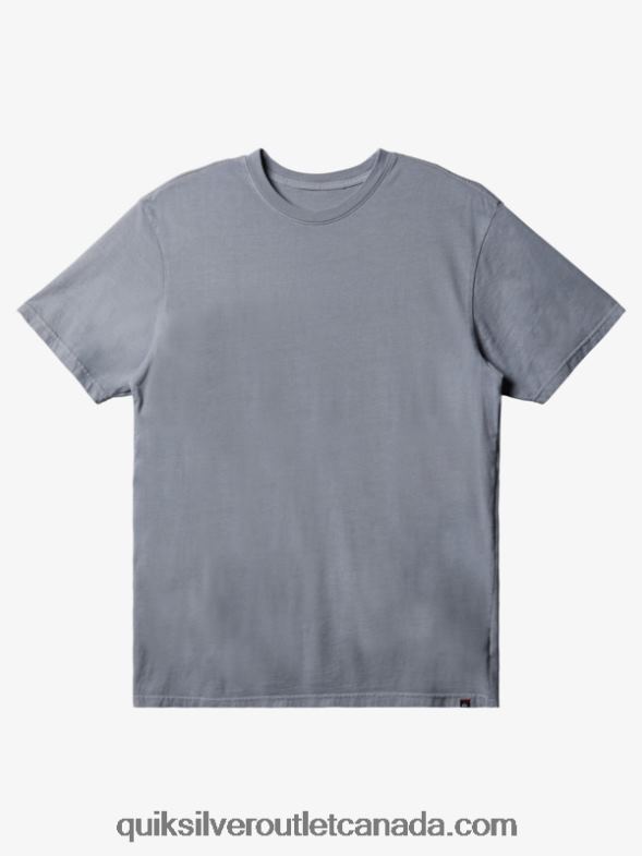 CA Quiksilver Men Everyday T-Shirt sleet TX4R2905