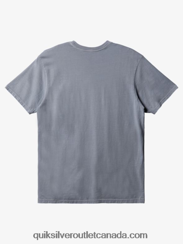 CA Quiksilver Men Everyday T-Shirt sleet TX4R2905