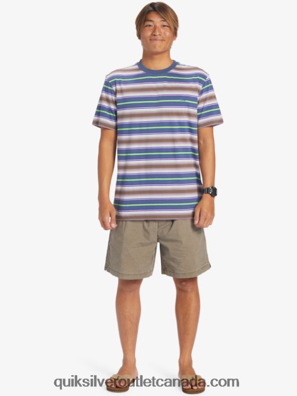 CA Quiksilver Men Geller Stripe T-Shirt geller bering stripe TX4R2632
