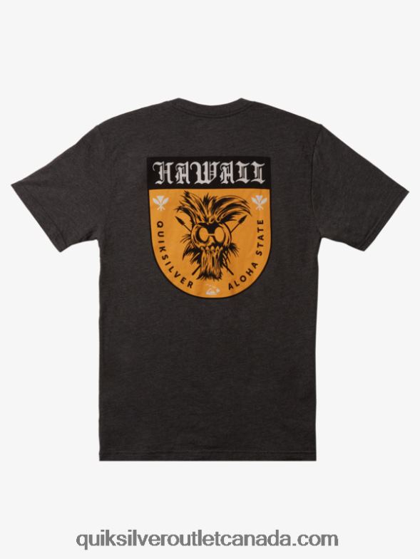 CA Quiksilver Men Hawaii Ikaika Shield T-shirt charcoal heather TX4R21006