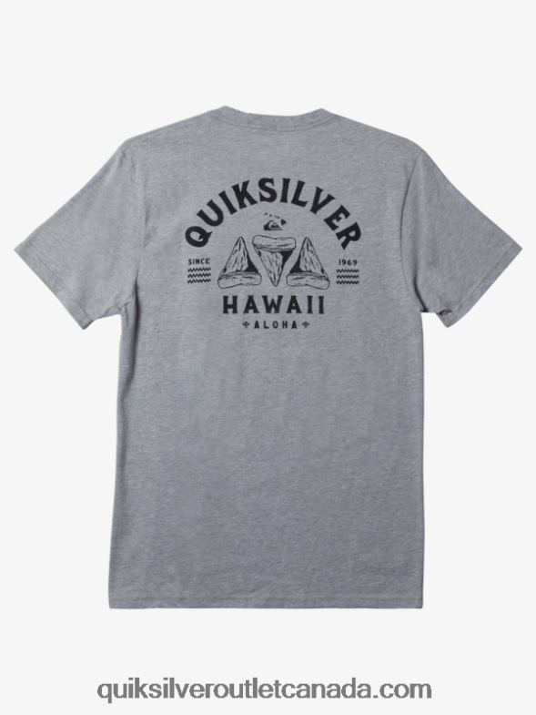 CA Quiksilver Men Hawaii Razor Tooth T-Shirt athletic heather TX4R2163