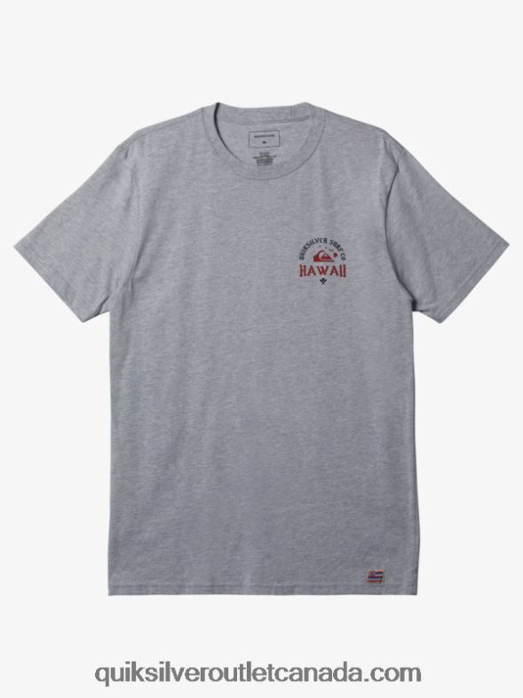 CA Quiksilver Men Hawaii Rooster Royal T-Shirt athletic heather TX4R2673