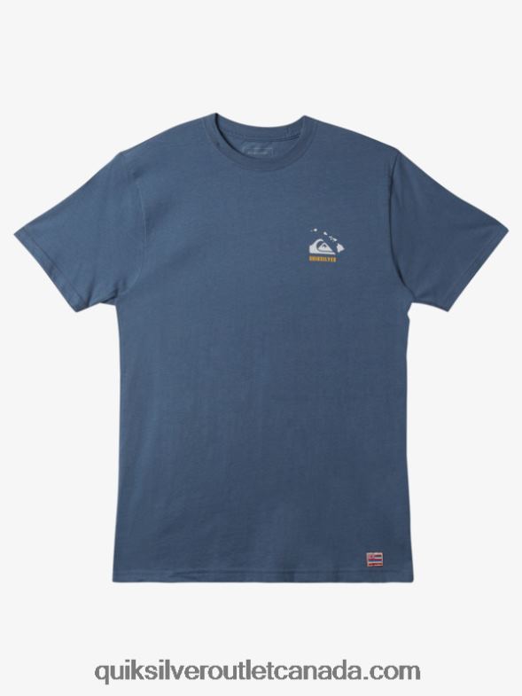 CA Quiksilver Men Hawaii Survivor T-Shirt bering sea TX4R2118