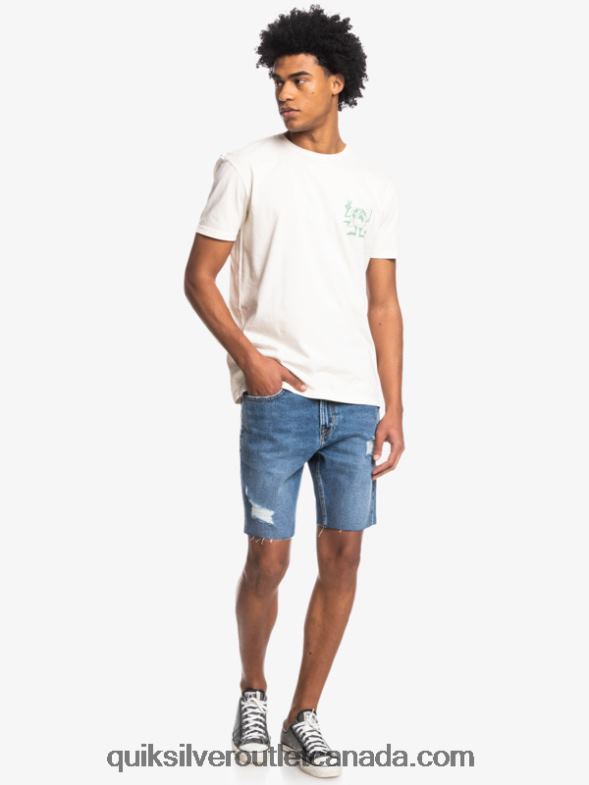 CA Quiksilver Men Hidden Message T-Shirt birch TX4R21762