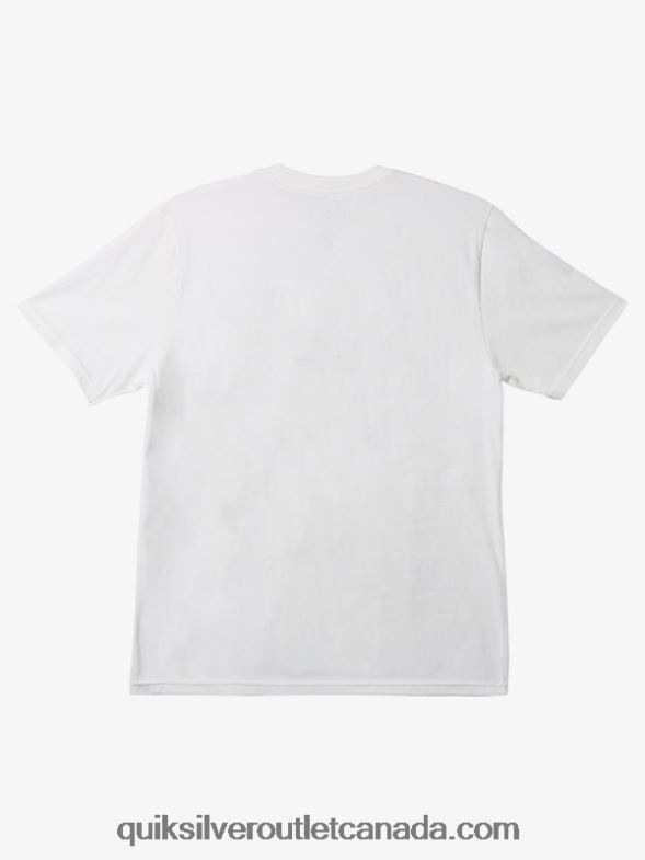 CA Quiksilver Men In Shapes T-shirt white TX4R21235