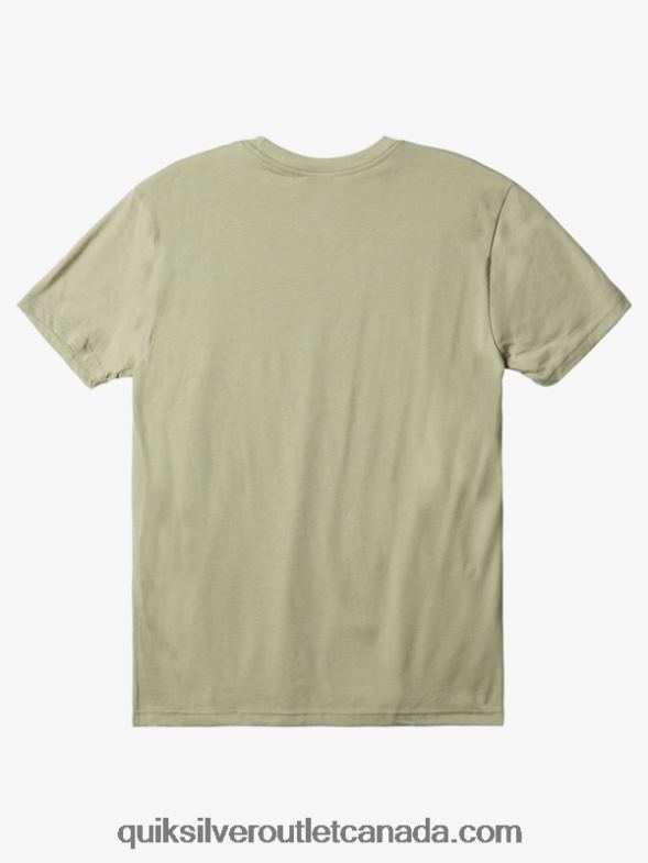 CA Quiksilver Men Omni Check T-Shirt desert sage heather TX4R21102