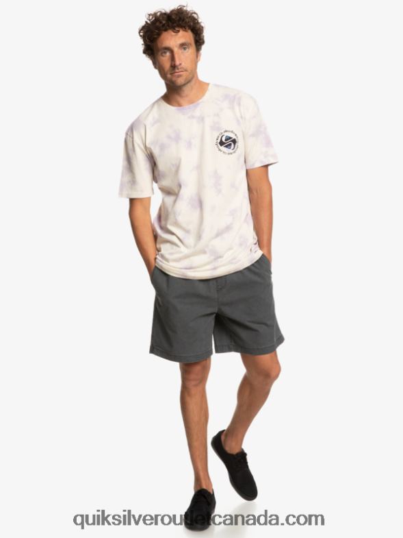 CA Quiksilver Men Omni Circle T-Shirt birch TX4R21071