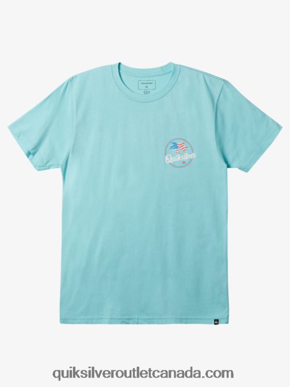 CA Quiksilver Men Palm Breezy T-Shirt angel blue TX4R2236