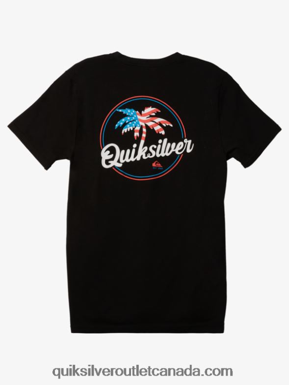 CA Quiksilver Men Palm Breezy T-Shirt black TX4R2237