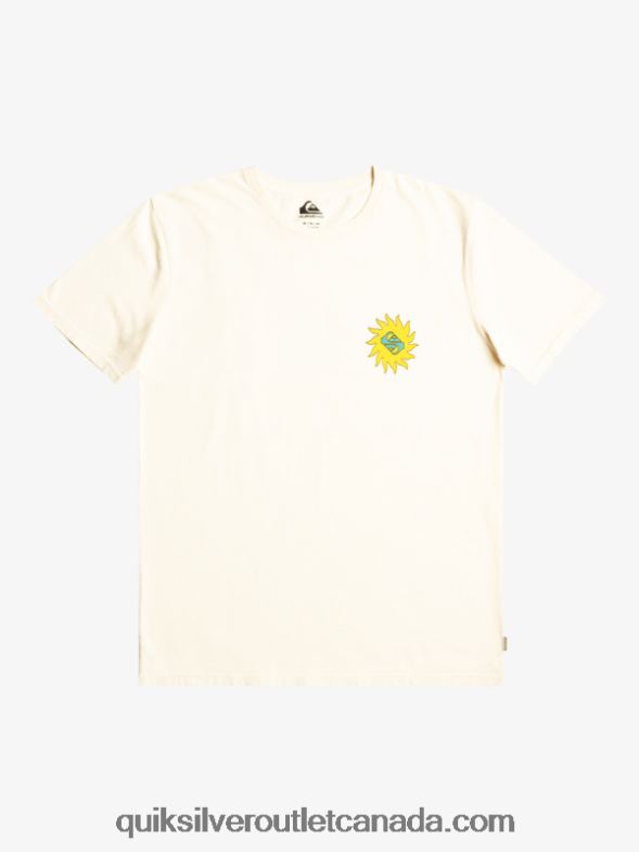 CA Quiksilver Men Planet Positive T-Shirt birch TX4R21340