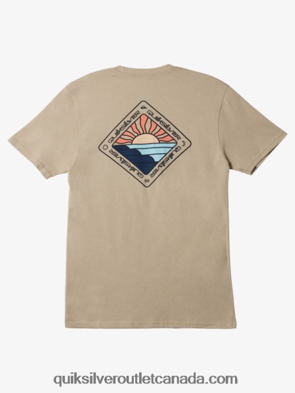 CA Quiksilver Men Scenic Journey T-shirt plaza taupe TX4R21146