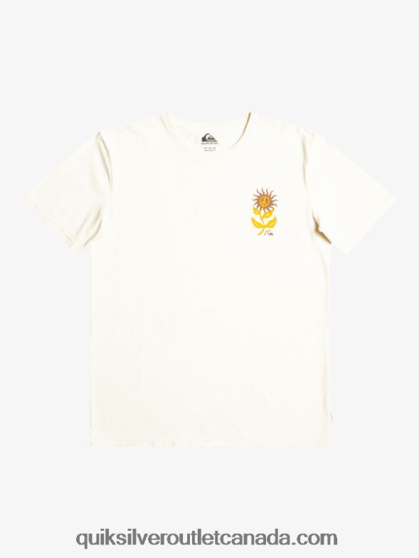 CA Quiksilver Men Sun Bloom T-Shirt birch TX4R21020