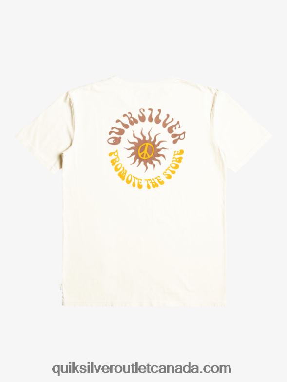 CA Quiksilver Men Sun Bloom T-Shirt birch TX4R21020