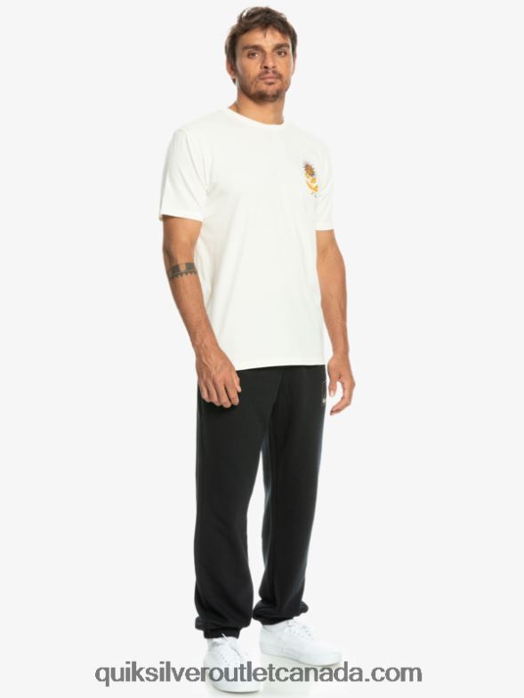 CA Quiksilver Men Sun Bloom T-Shirt birch TX4R21020