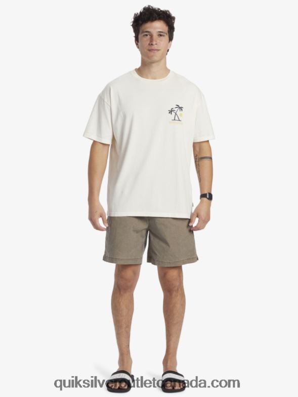CA Quiksilver Men Sunset Rituals T-Shirt birch TX4R2391
