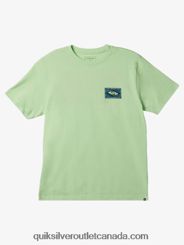 CA Quiksilver Men Vibing T-Shirt paradise green TX4R2178