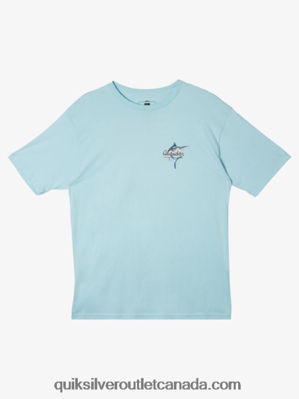 CA Quiksilver Men Waterman Beauty At Sea T-Shirt aquatic TX4R251