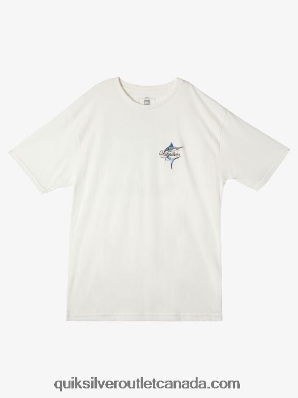 CA Quiksilver Men Waterman Beauty At Sea T-Shirt snow white TX4R250