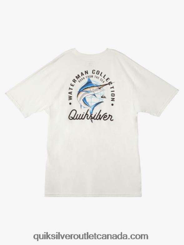 CA Quiksilver Men Waterman Beauty At Sea T-Shirt snow white TX4R250
