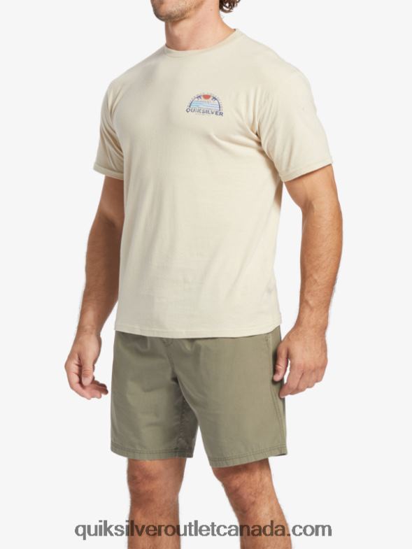 CA Quiksilver Men Waterman Set View T-Shirt brown rice TX4R238