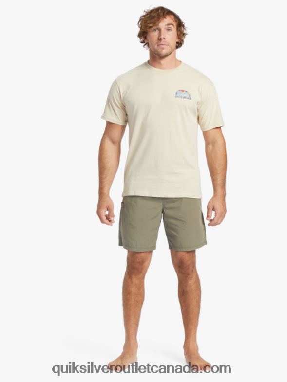 CA Quiksilver Men Waterman Set View T-Shirt brown rice TX4R238