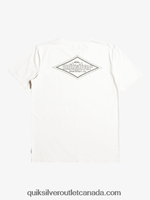 CA Quiksilver Men Words T-Shirt birch TX4R2934