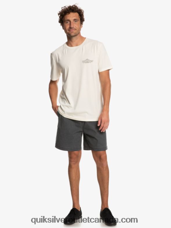 CA Quiksilver Men Words T-Shirt birch TX4R2934