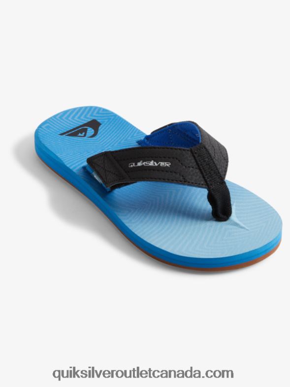 CA Quiksilver Boys 8-16 Carver Switch Sandals blue 5 TX4R22211