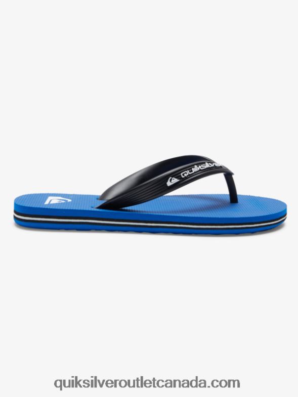 CA Quiksilver Boys 8-16 Molokai Core Flip-Flops blue 1 TX4R22167