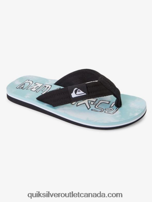 CA Quiksilver Boys 8-16 Molokai Layback Youth Basic Sandal blue 1 TX4R22253