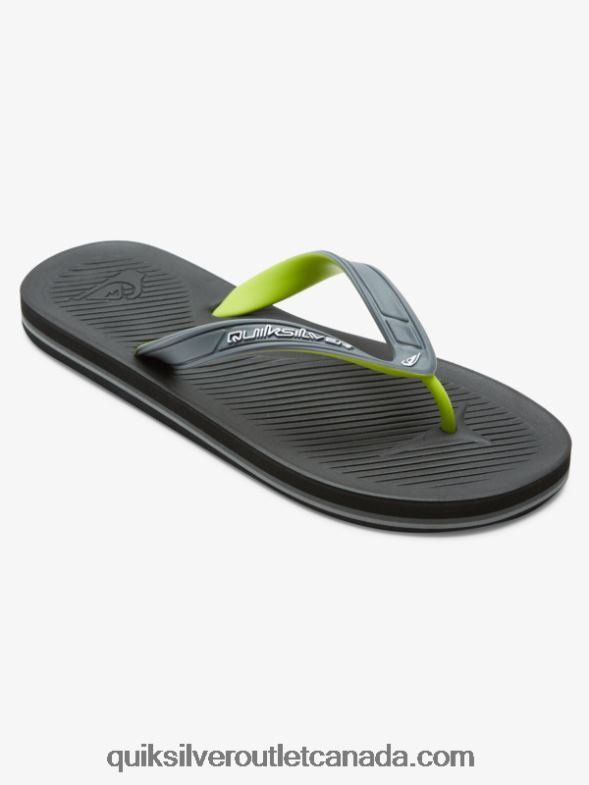 CA Quiksilver Men Haleiwa Core Flip-Flops grey 1 TX4R2953