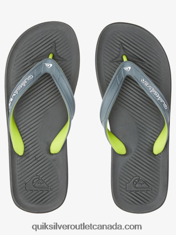 CA Quiksilver Men Haleiwa Core Flip-Flops grey 1 TX4R2953