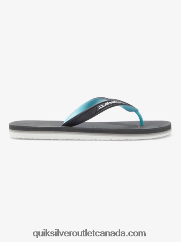 CA Quiksilver Men Haleiwa Core Flip-Flops grey 2 TX4R2952