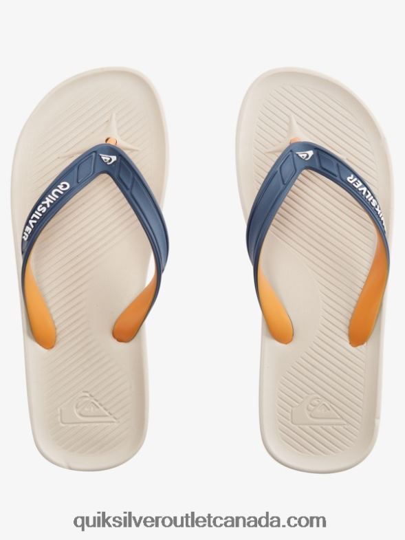 CA Quiksilver Men Haleiwa Flip-Flops blue 1 TX4R21651