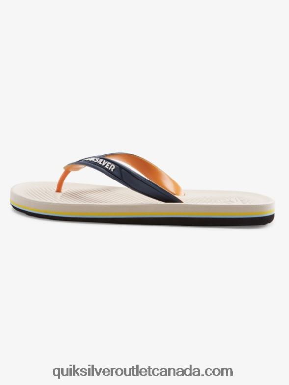 CA Quiksilver Men Haleiwa Flip-Flops blue 1 TX4R21651